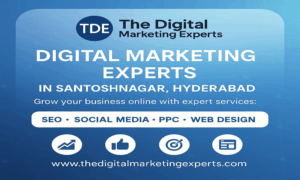 seo-expert-in-hyderabad