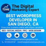 Best WordPress Developer in San Diego