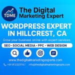 Wordpress Expert in Hillcrest
